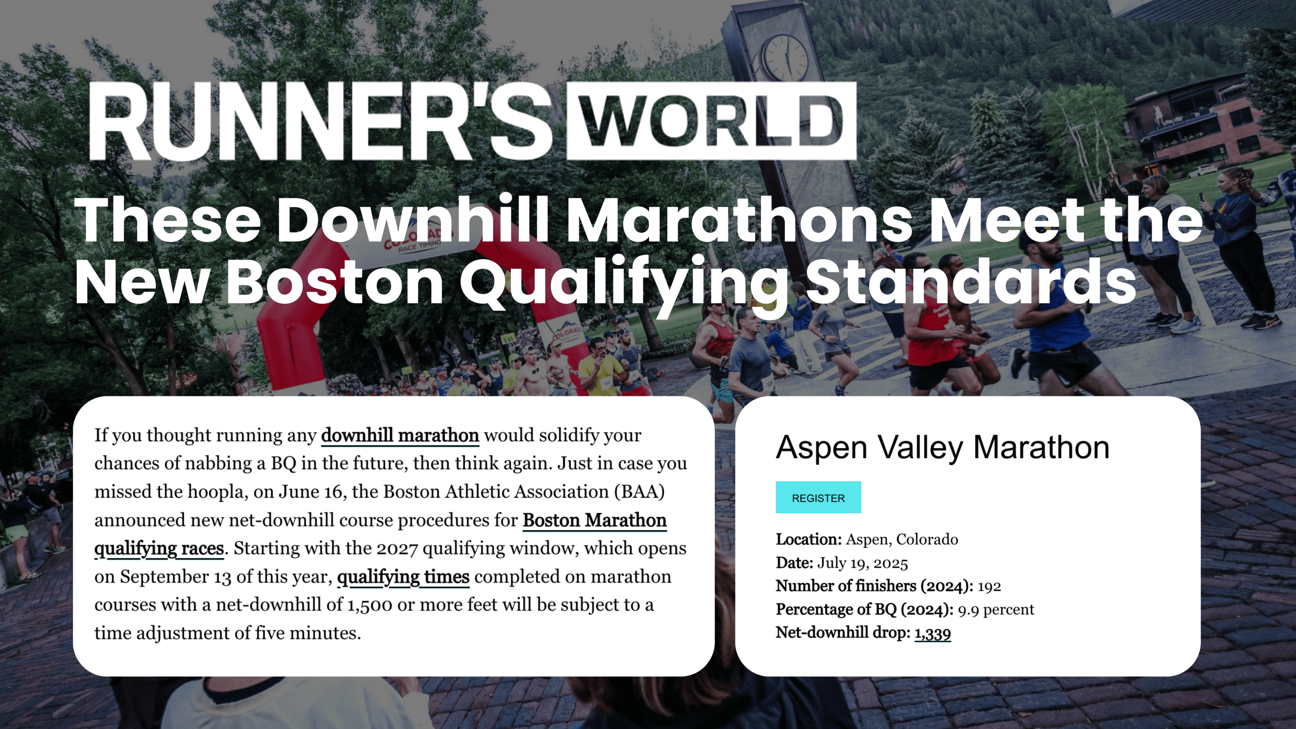 AVM Website
